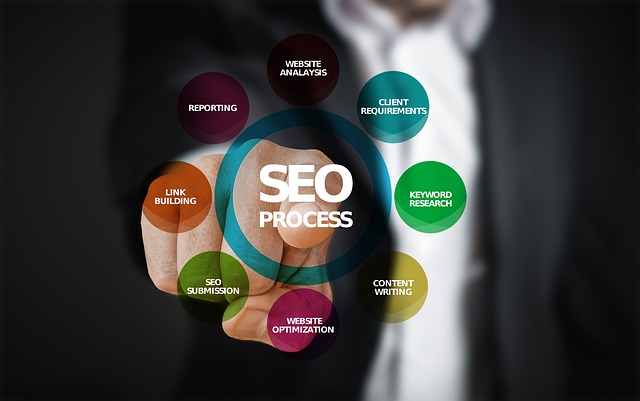 seo agence web